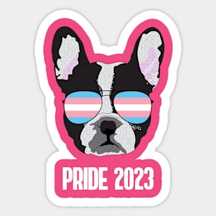 PRIDE 2023 - Boston Terrier Dog Trans Transgender Pride Flag Sticker